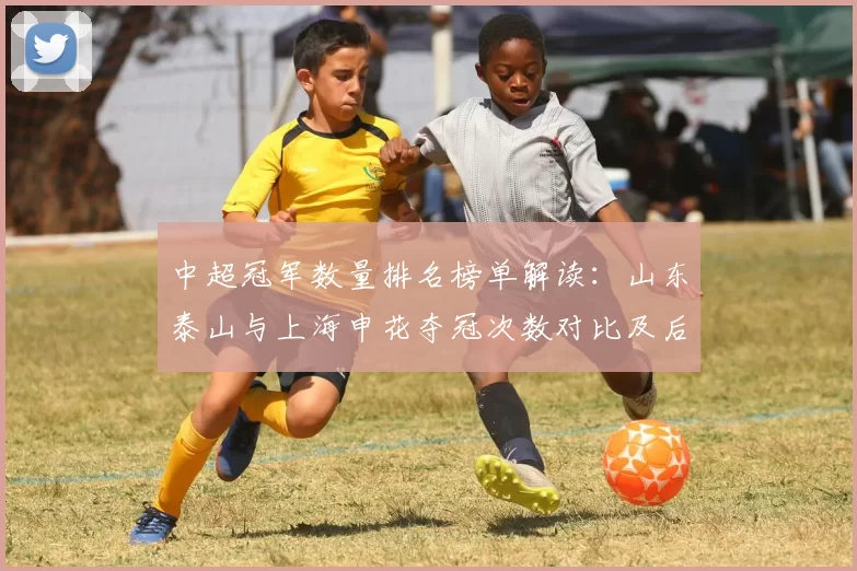 中超冠军数量排名榜单解读：山东泰山与上海申花夺冠次数对比及后续争冠影响
