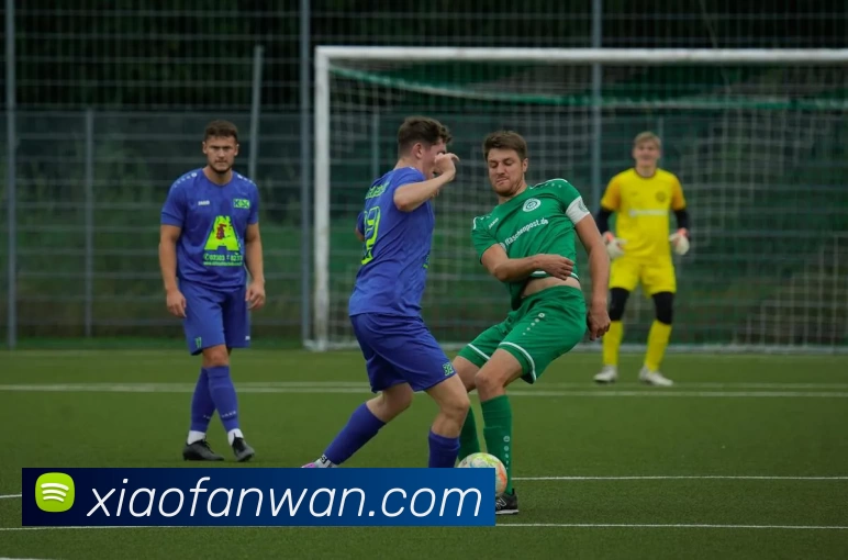 开云手机·官方版网站登录入口 - 开云(中国)品牌故事